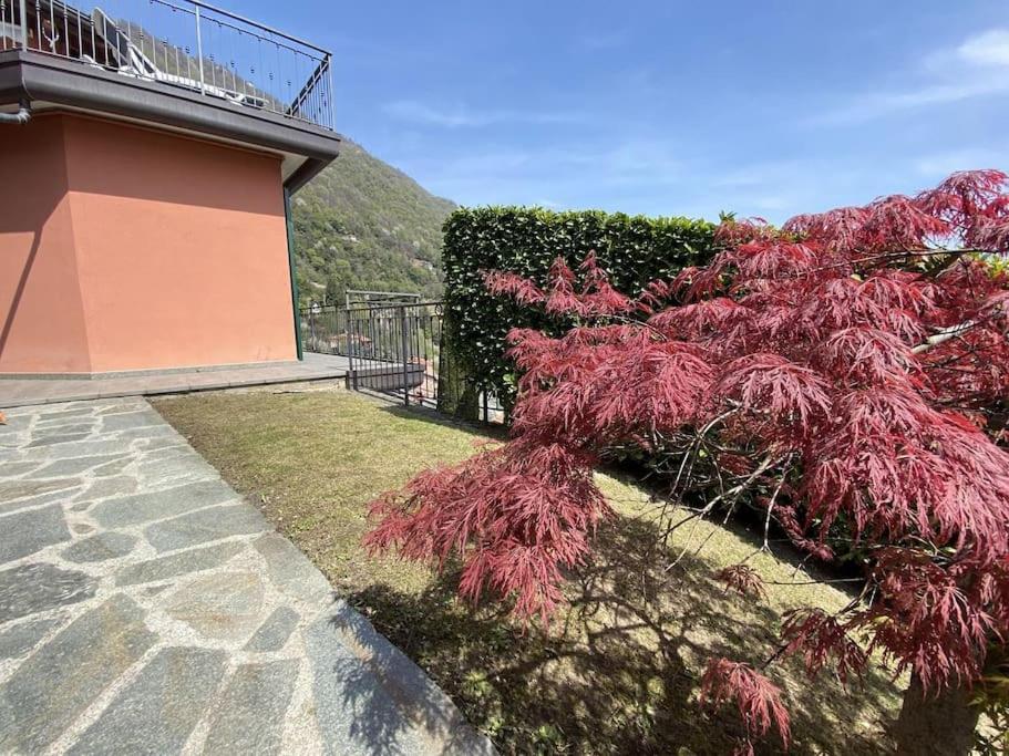 San Sisinio Apartment Argegno Exteriér fotografie